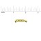 JewelrySupply 1" Brooch Bar Pins Gold Color (10-Pcs) - DIY Jewelry Making